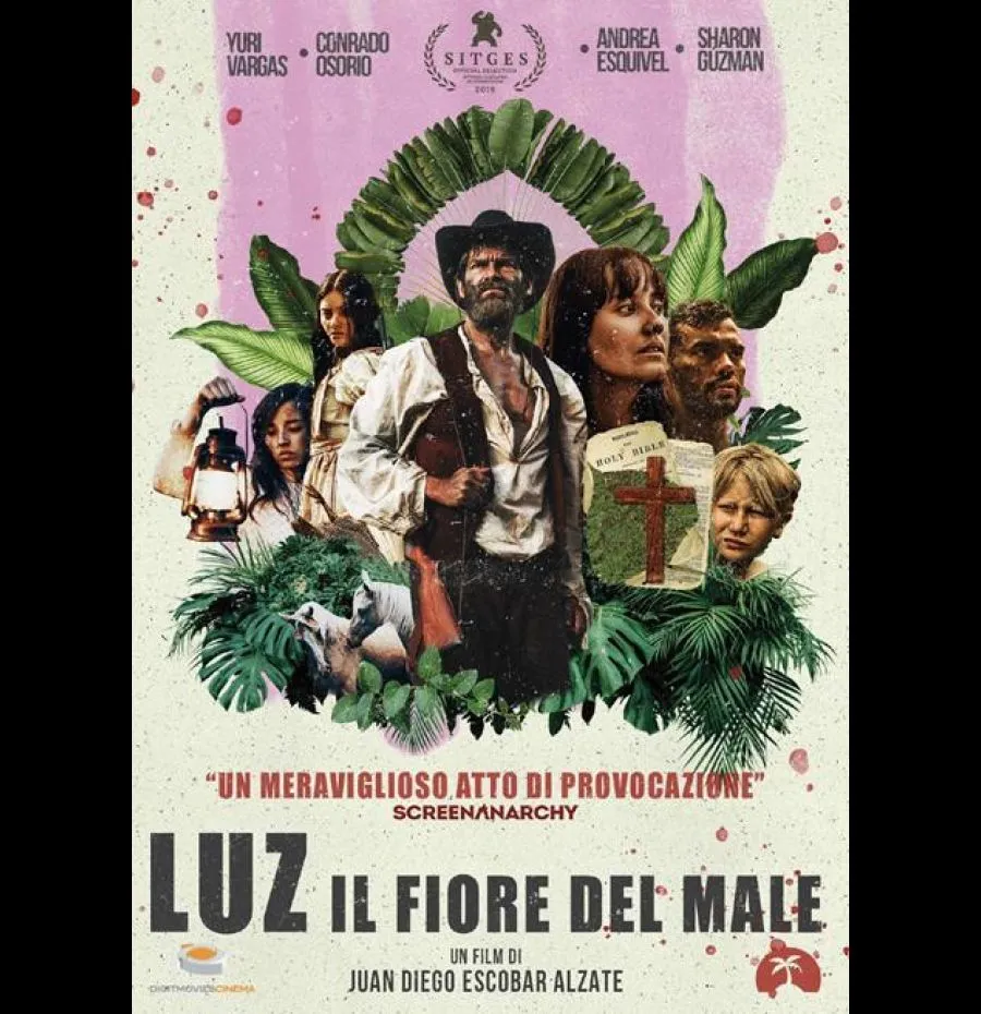 BlackLava HOME MOVIES IT Luz Il Fiore del Male DVD Import