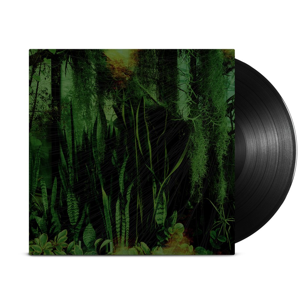 The Promise Ring Wood Water 2xLP Black Vinyl